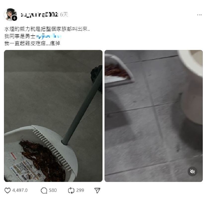 臺女在Threads分享時，指自己殺蟑螂的方法是用“水煙”。