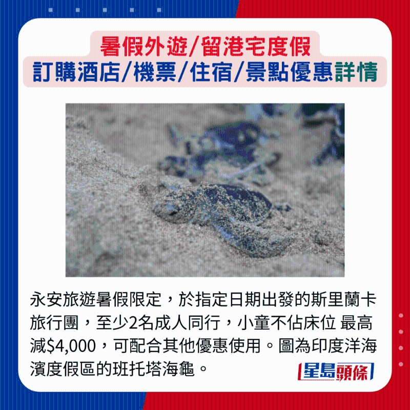 永安旅游暑假限定，于指定日期出發(fā)的斯里蘭卡旅行團，至少2名成人同行，小童不占床位 最高減$4,000，可配合其他優(yōu)惠使用。 圖為印度洋海濱度假區(qū)的班托塔海龜。