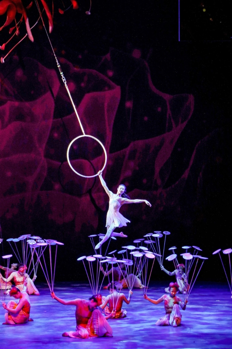 國(guó)際綜藝合家歡