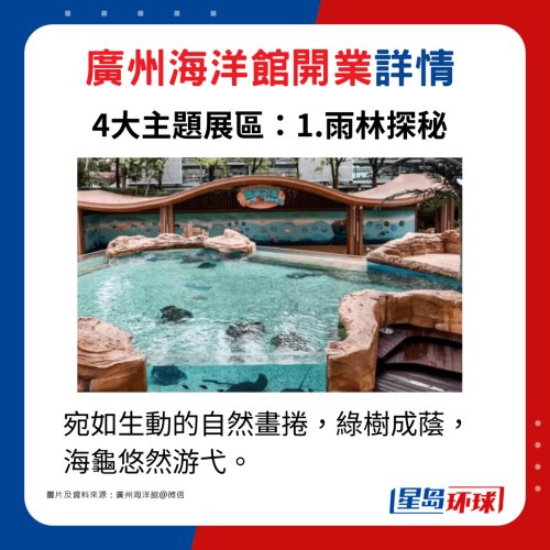 主題展區(qū)1.雨林探秘：宛如生動(dòng)的自然畫卷，綠樹成蔭，海龜悠然游弋。