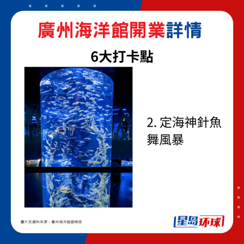 2. 定海神針魚舞風(fēng)暴