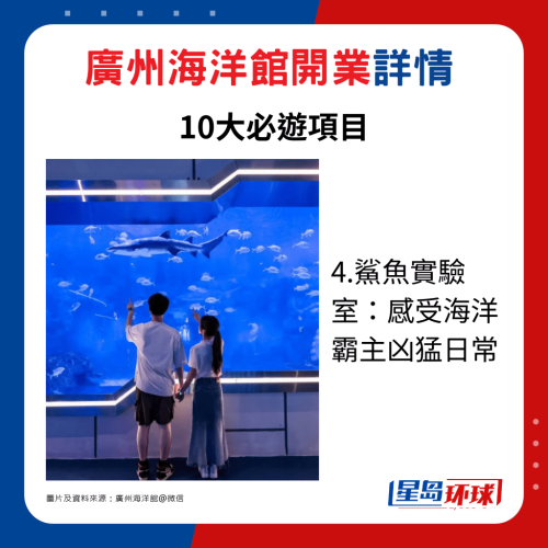 4.鯊魚實(shí)驗(yàn)室：感受海洋霸主兇猛日常