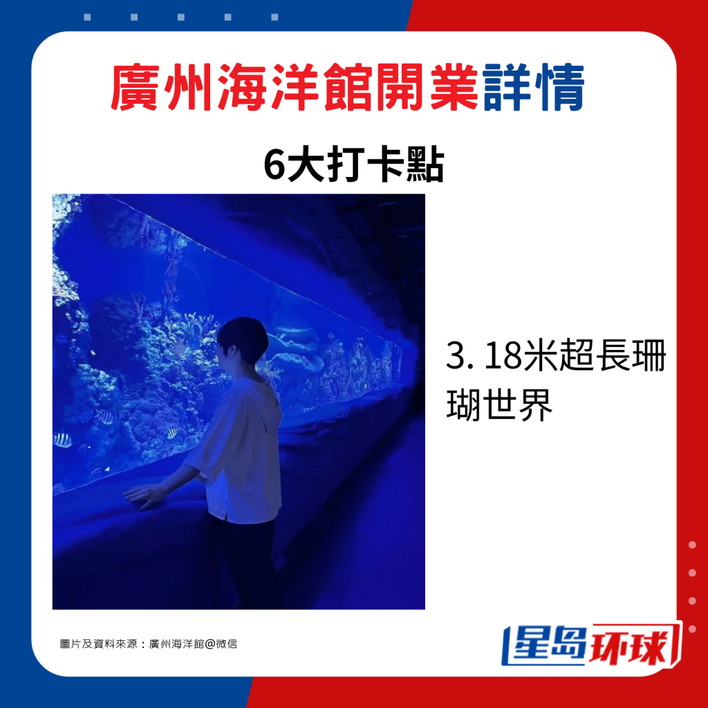 3. 18米超長珊瑚世界 3. 18米超長珊瑚世界