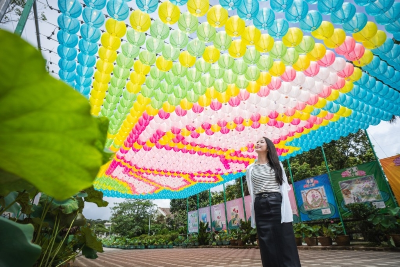 中間大道上以氣球組成荷花圖案，是必影打卡位之一。