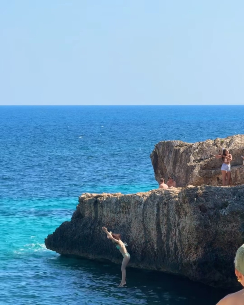 蔡嘉欣跳崖。