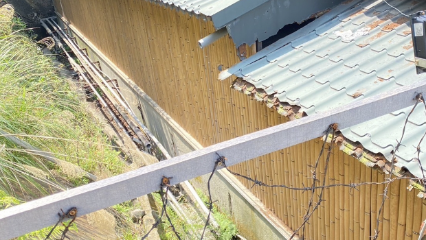 皇池再爆2對情侶“外流片”