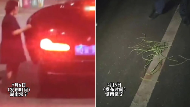 湖南女老師與2公務(wù)員半夜偷豆角