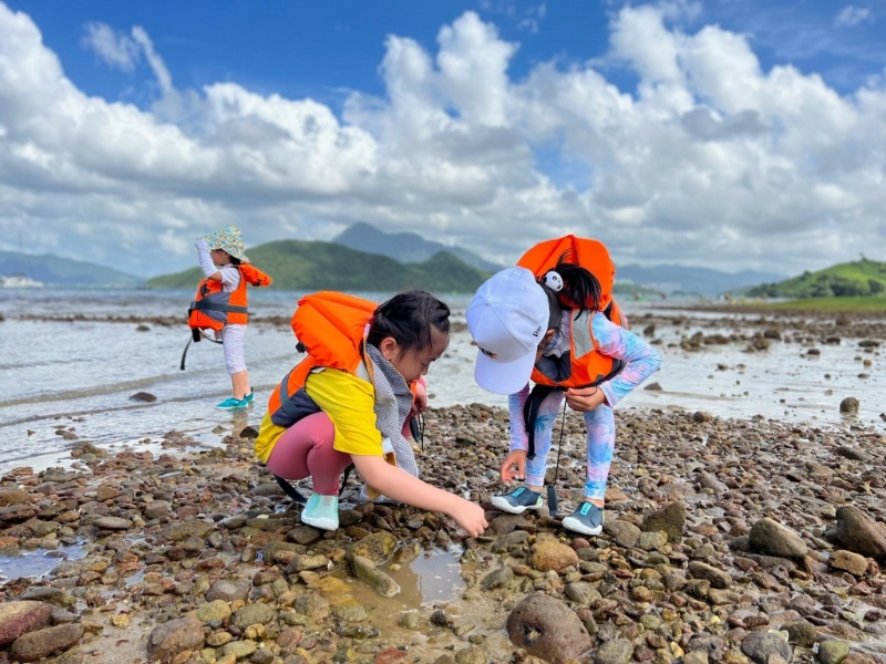 活動第1天會帶小朋友探訪水筆仔、招潮蟹、彈涂魚等紅樹林朋友，在淺水的海岸上忘我玩水。（圖片來源：Supway）