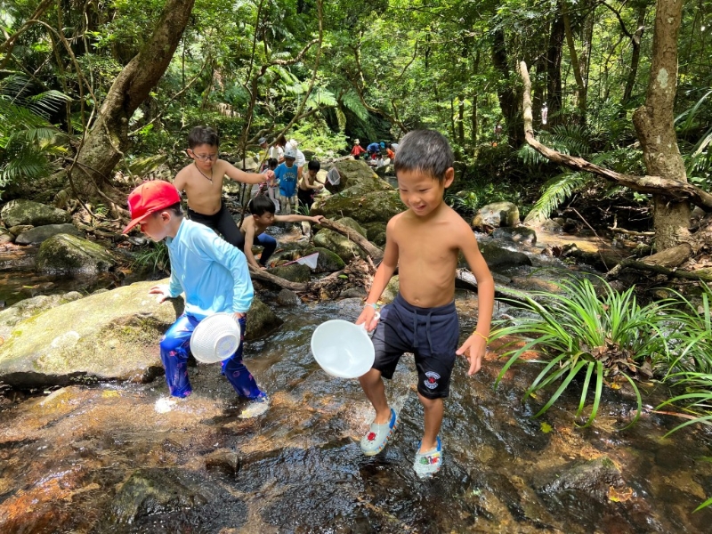 第2天將會走進香港其中一片最大的石澗，在河溪中消暑，也認識河流生態(tài)。（圖片來源：Supway）