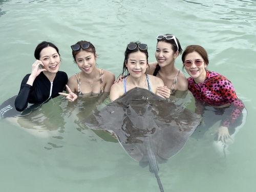 馮盈盈(左) 馮盈盈(左)