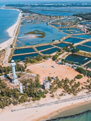 7. 中國南極村有美麗的海濱、秦漢時代海上絲綢之路要塞、漁家風情、珊瑚建筑等特色。圖片來源：小紅書@一一