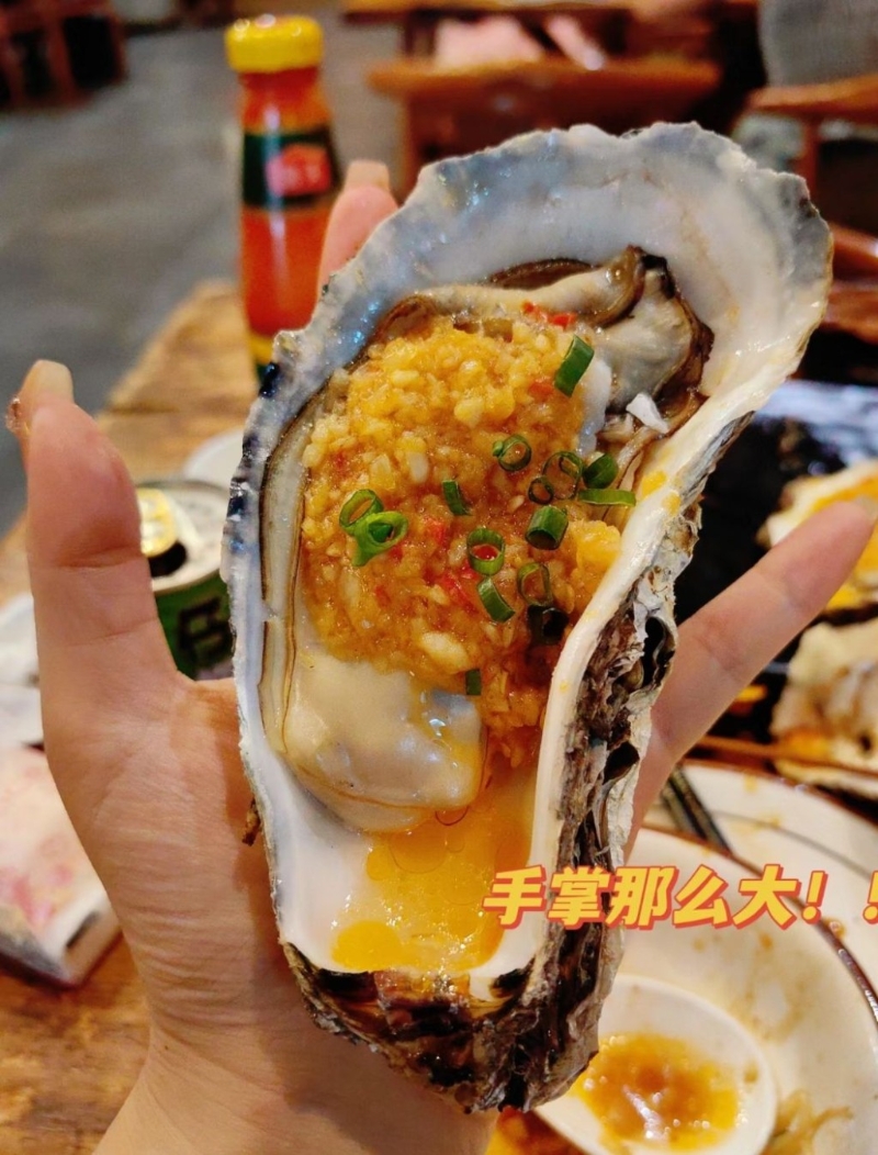 湛江必吃美食2024｜5. 土蠔．高壓鍋生蠔 必吃招牌燒蠔￥138-12只，超大生蠔有手掌那么長(zhǎng)，蠔肉新鮮肥美，可選原味或蒜蓉味。 （圖片來源：小紅書＠星星阿黑）
