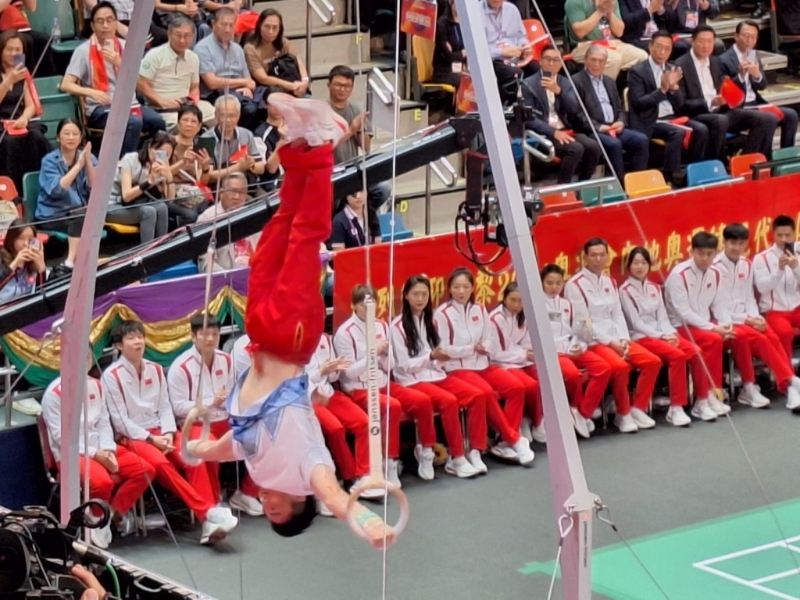 吊環(huán)王劉洋表演。