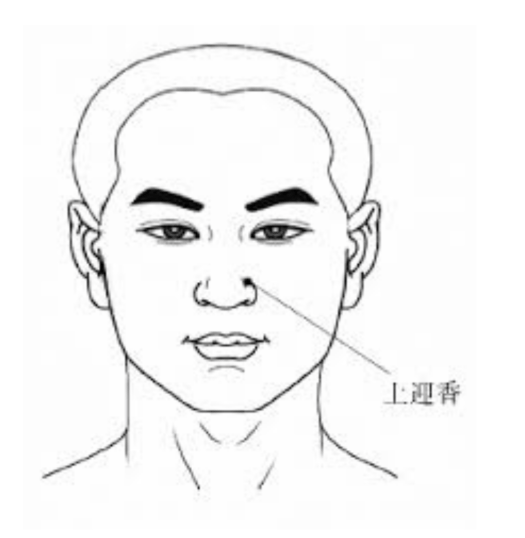 上迎香穴 上迎香穴