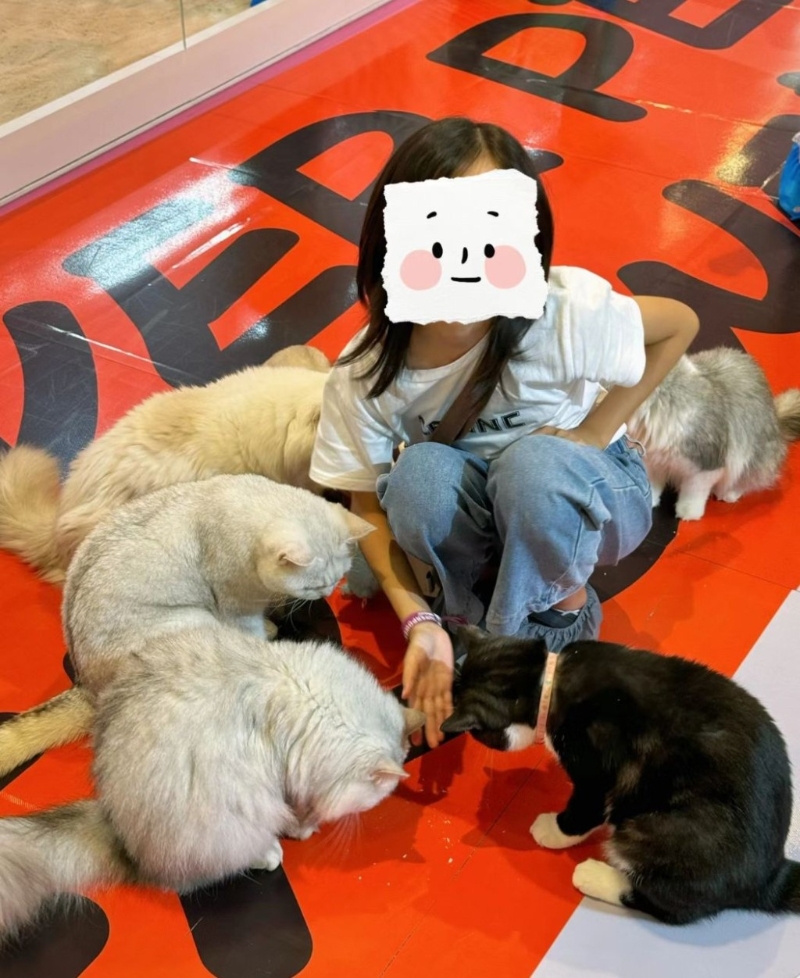 中山玩樂好去處2024｜4. 萬象匯 餐廳超能貓空間，有60只貓陪你玩。（圖片來源：小紅書＠雞絲飯）