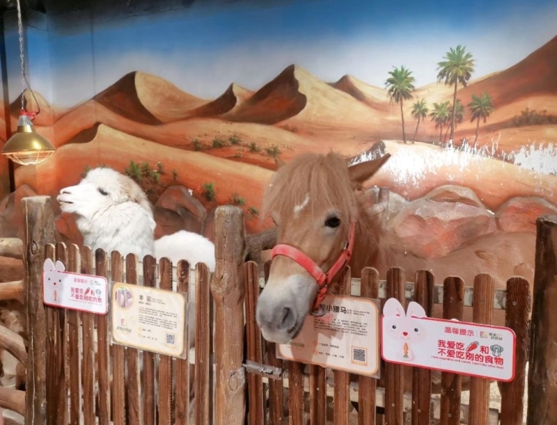 中山旅游攻略2024｜8. 大信新都匯 親子必去米果動物城，接觸60多種海陸空萌寵。（圖片來源：小紅書@心心正正）