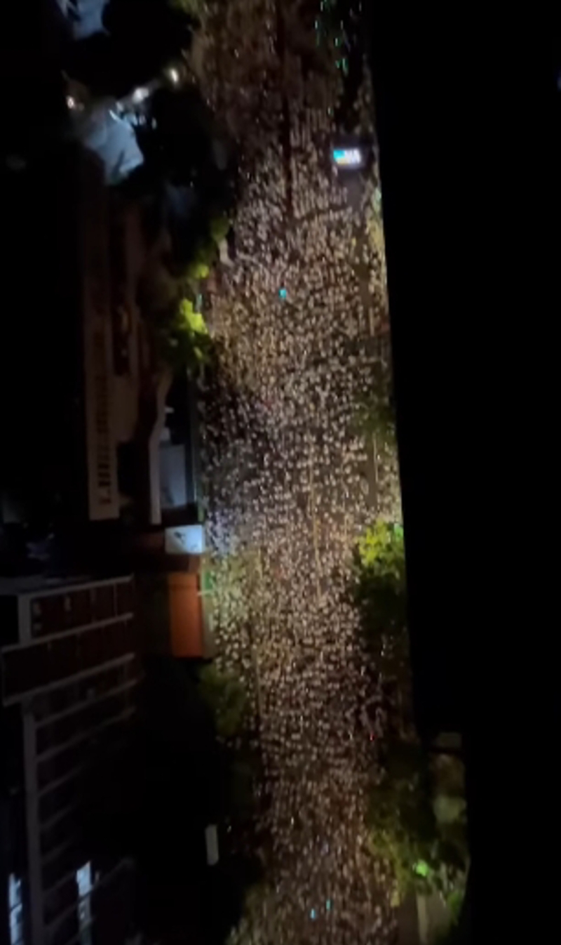 “館長(zhǎng)”陳之漢8日晚間PO出小草集結(jié)空拍影片