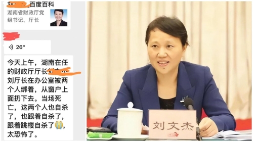 網(wǎng)傳湖南財政廳女廳長劉文杰被人扔下樓死亡，兇手隨后也跳樓自殺。