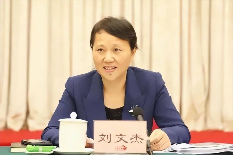 湖南女財政廳長 湖南女財政廳長