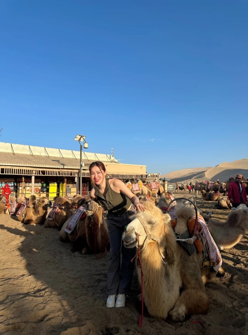 之前有指因游客太多令駱駝忍不住“罷工”，但從照片所見(jiàn)，不少駱駝都有時(shí)間休息。