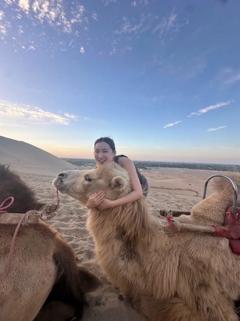 王冰冰更趁機(jī)攬住駱駝合照，又撫摸其頭部，令它舒服得閉起雙眼。