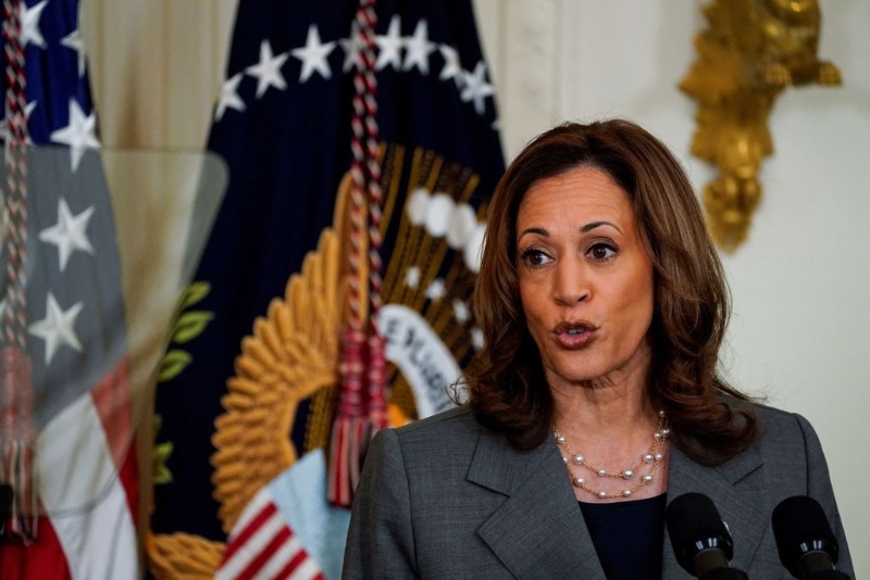 哈里斯背后有一名大力幫忙她的女金主，她就是喬布斯的遺孀羅琳喬布斯。路透社