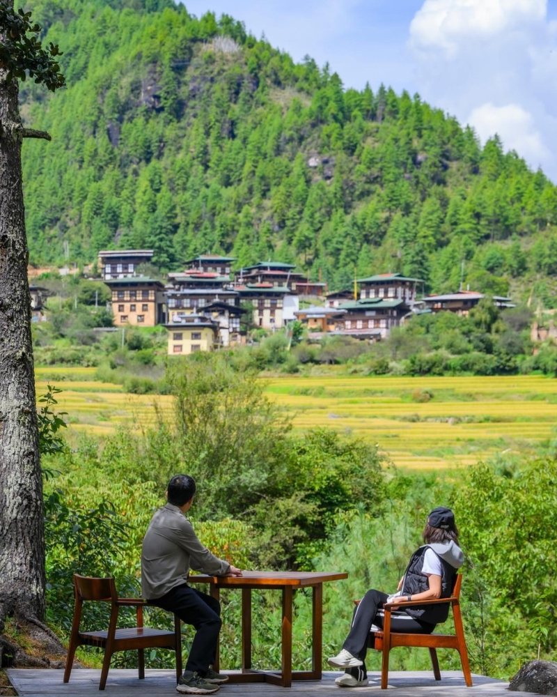 另一張見梁朝偉坐在椅子的扶手上，引起網(wǎng)民討論，笑指因前方的樹木遮擋了視線。