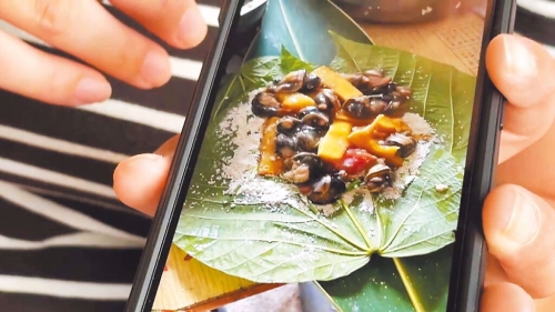 蝸牛小米粽 蝸牛小米粽