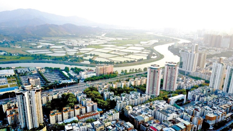 大灣區(qū)各市配合出臺政策取消妨礙樓市發(fā)展的限購令，加快包括新盤及二手交投。