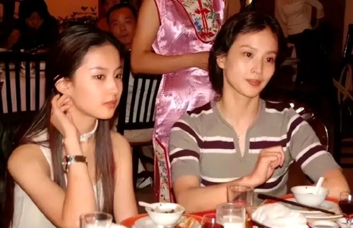 劉曉莉帶劉亦菲回國(guó)