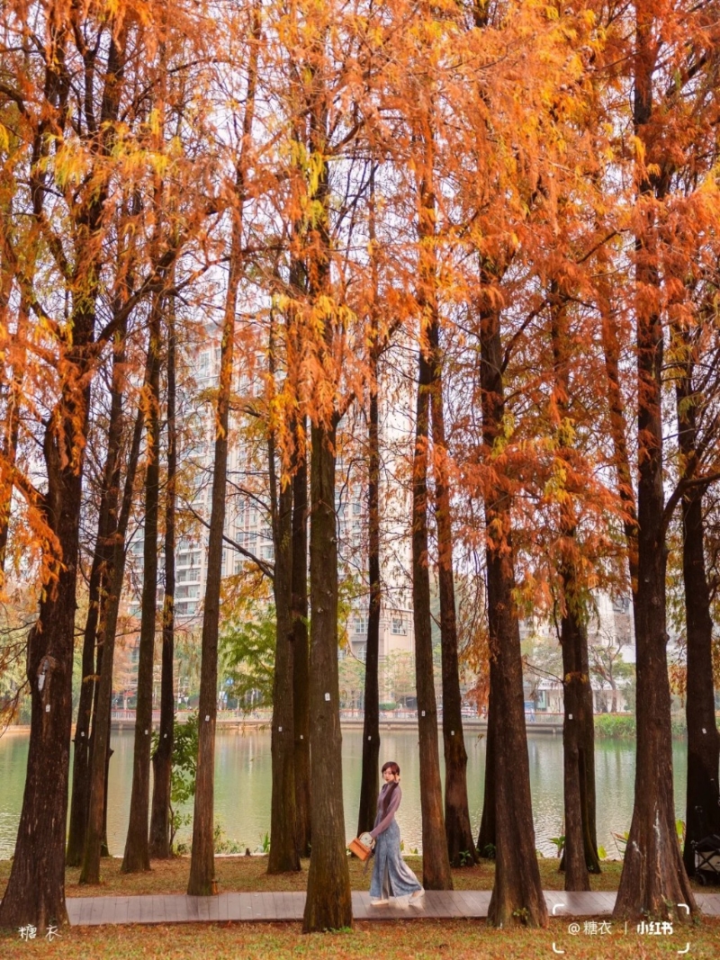 設(shè)有林蔭大道、人工湖、中式建筑、白色玻璃等打卡（圖片來源：小紅書@糖衣）