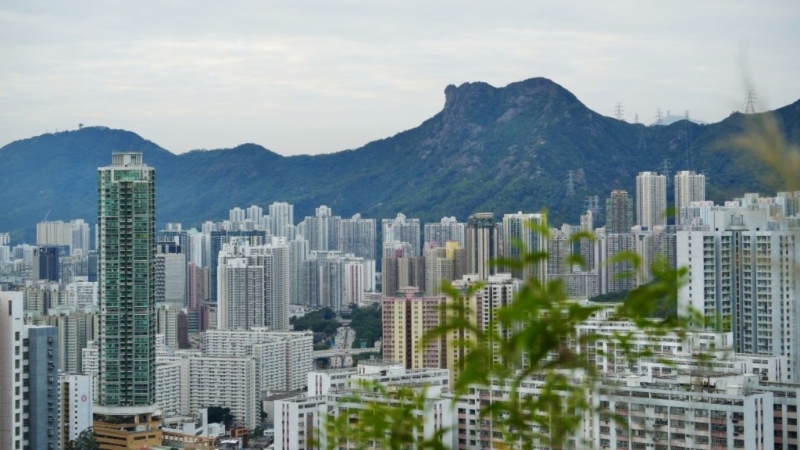 立會大會繼續(xù)就建筑、測量及都市規(guī)劃界謝偉銓提出的積極開發(fā)及善用土地的議案討論。