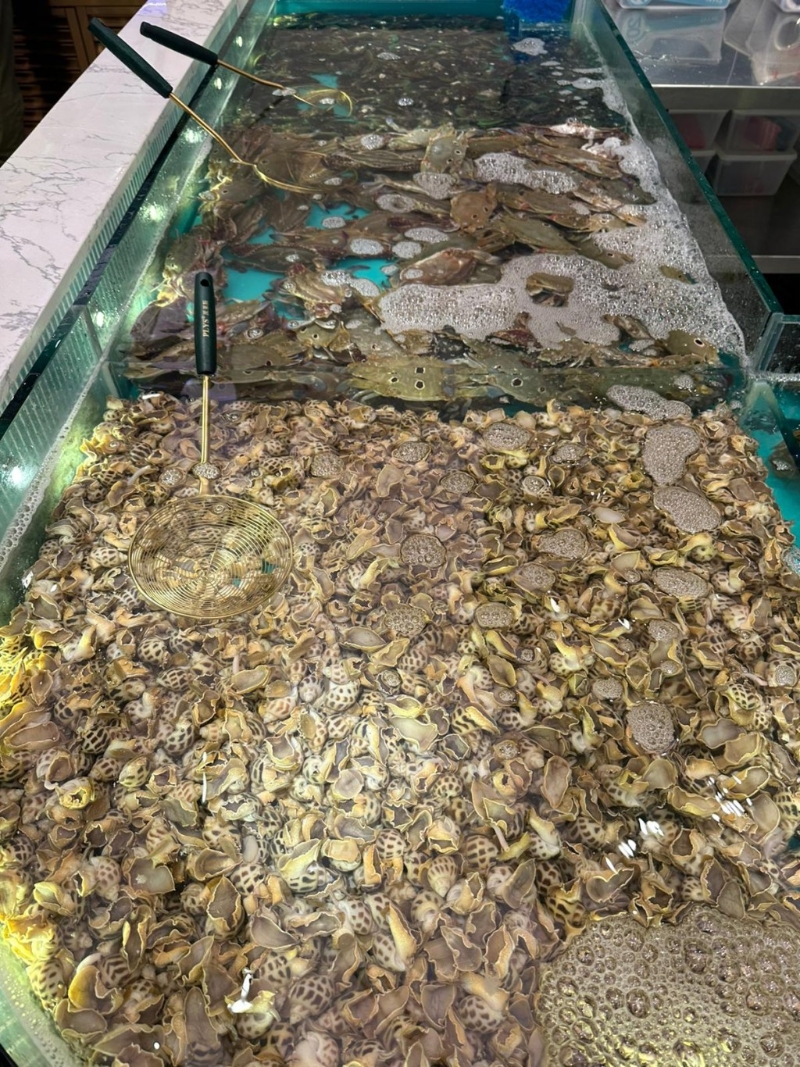 店內設有多個水池養(yǎng)殖不同種類的活海鮮(圖片來源：FB@千海水產海鮮火鍋放題-九龍灣店)