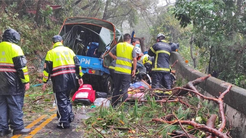 樹木突倒塌砸中一輛小貨車 樹木突倒塌砸中一輛小貨車