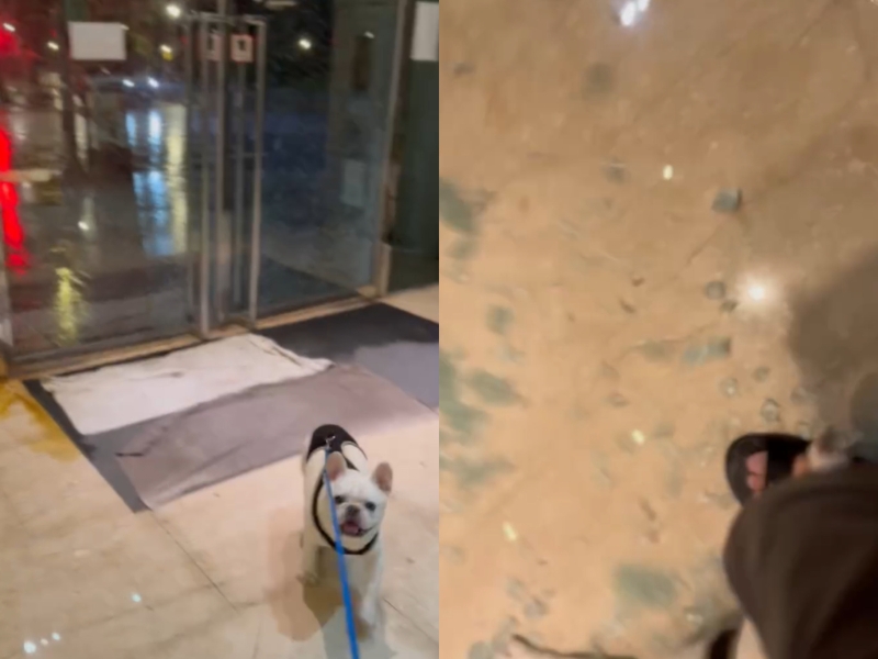 玻璃被吹爆 玻璃被吹爆