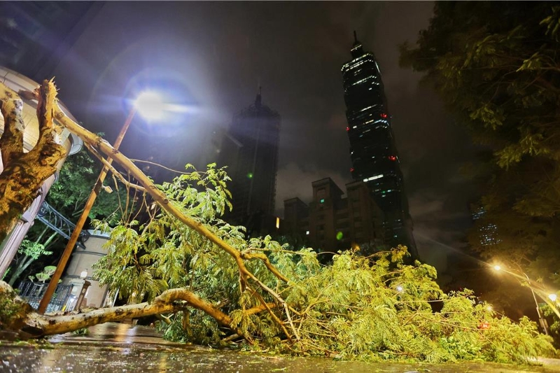 文山區(qū)重要干道辛亥路 文山區(qū)重要干道辛亥路
