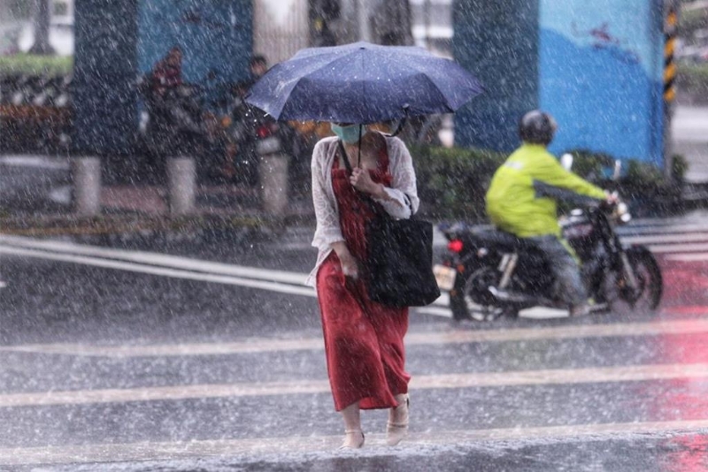 康妮臺(tái)風(fēng)狂掃各地 康妮臺(tái)風(fēng)狂掃各地