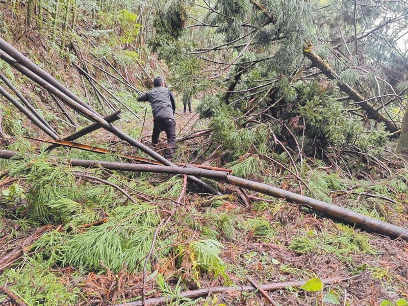 2日空勤隊尋獲均安 2日空勤隊尋獲均安