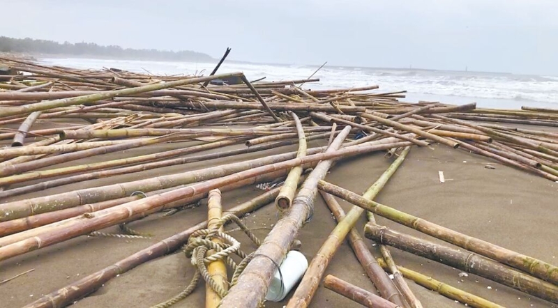 蚵農(nóng)血本無歸 蚵農(nóng)血本無歸