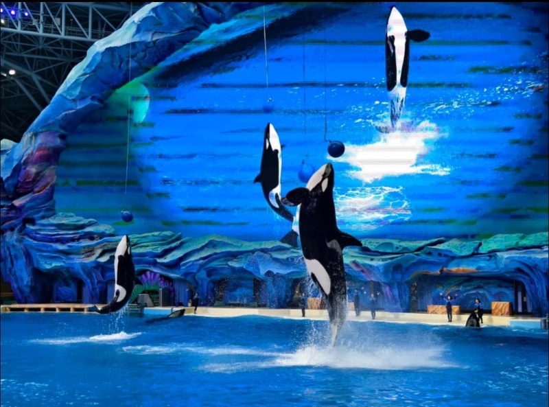 海洋生物科普展示 海洋生物科普展示