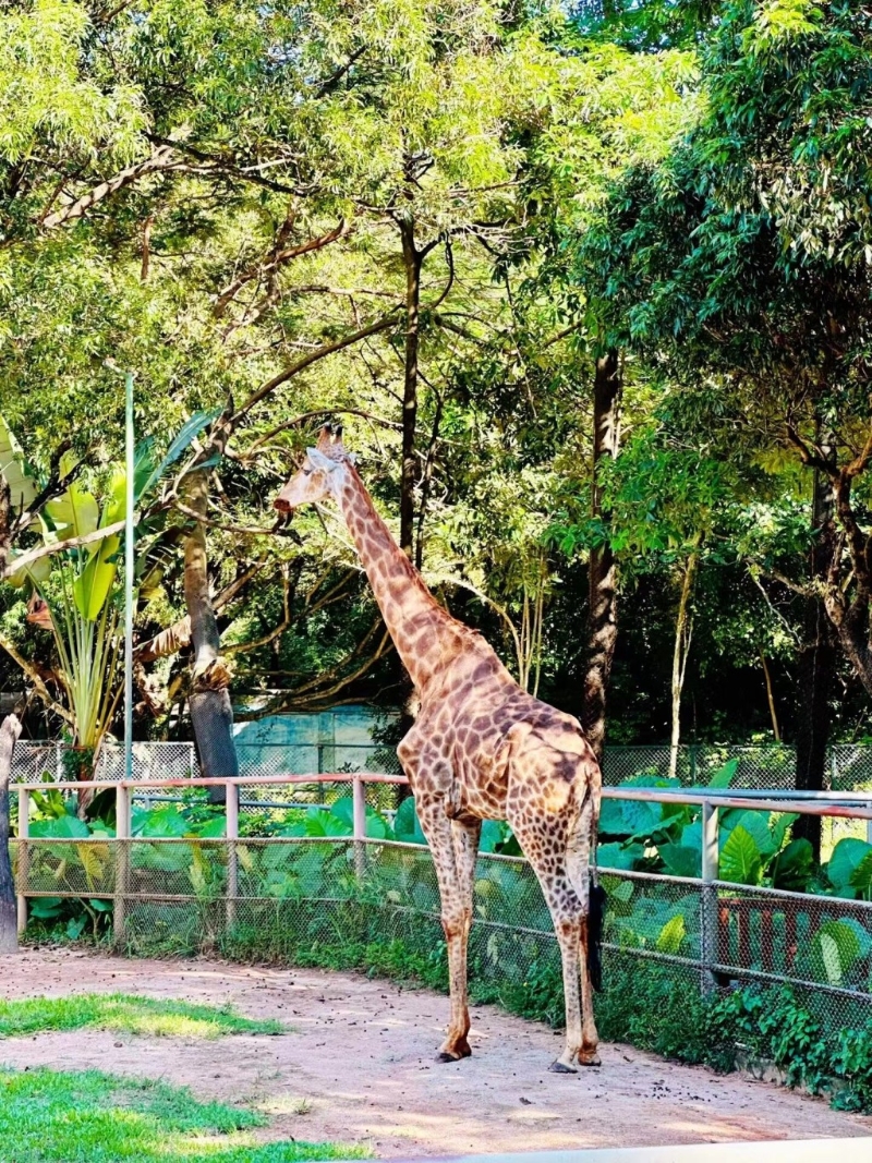 東莞圣誕節(jié)親子游