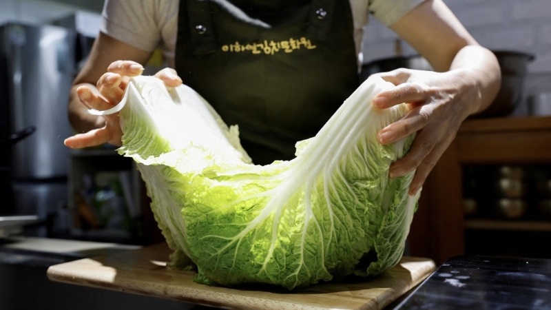 吳劍林表示，氣候變暖首先會(huì)帶來糧食危機(jī)，例如北方區(qū)域氣候變得潮濕、溫度上升，韓國都無法種出大白菜，需要進(jìn)口。