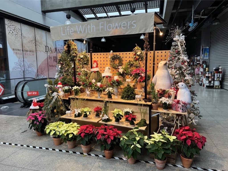 臺北花市在花市A館2樓展出“2014年高品質(zhì)圣誕紅盆花評鑒會”得獎花卉，讓業(yè)者和消費者能欣賞和了解高品質(zhì)的圣誕紅。