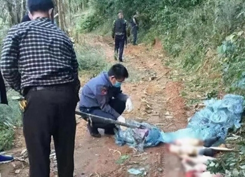 受害人被肢解成260多塊分棄多處。 示意圖。 網(wǎng)圖