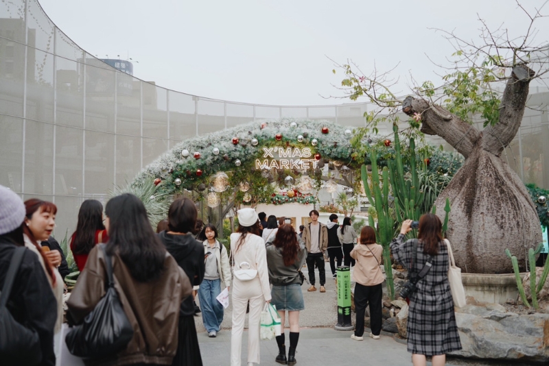 12月即將迎來(lái)圣誕節(jié)，許多縣市都有圣誕裝飾點(diǎn)綴。圖為臺(tái)中草悟道的圣誕氣氛。