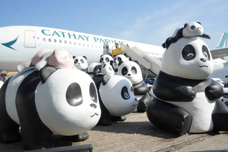 當(dāng)中8款全新設(shè)計(jì)的大熊貓?jiān)煨途韵愀?只大熊貓是盈盈、樂(lè)樂(lè)，以及新成員可可、安安、龍鳳胎“家姐”和“細(xì)佬”為原型。