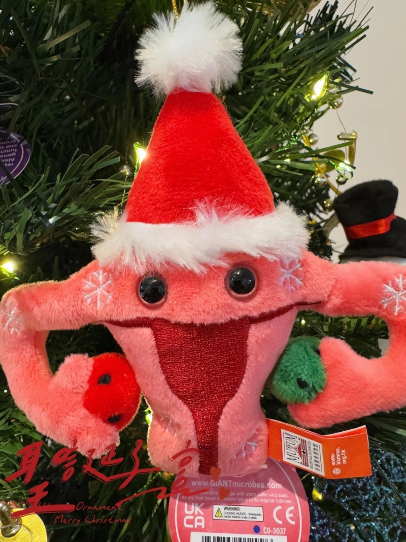 12月7日推出圣誕版子宮掛飾，將限量發(fā)售，各位粉絲快快去搶！（圖片來源：Thread@hkmedicalmuseum）