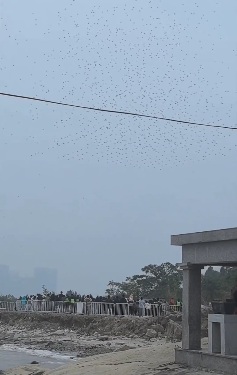 無人機突然墮下。