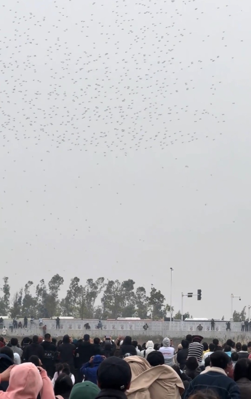 事件中無人受傷。