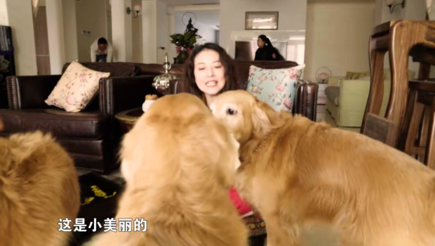 周海媚在大宅內養(yǎng)了不少寵物。